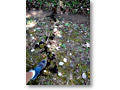 2010-10-16_11-31-58
