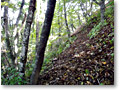 2010-10-16_12-08-10