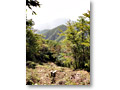 2010-10-16_12-26-02