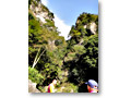 2010-10-16_14-10-16