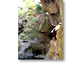 2010-10-16_14-11-29