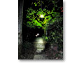 2010-05-22_03-45-31