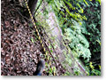 2010-05-22_18-17-44