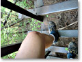 2010-05-22_05-27-21