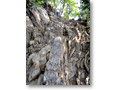 2010-05-22_05-58-09