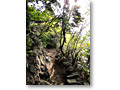 2010-05-22_05-58-15
