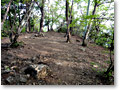 2010-05-22_06-05-24