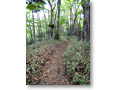 2010-05-22_06-23-40