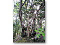 2010-05-22_06-47-23
