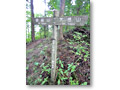 2010-05-22_07-04-39