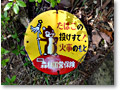 2010-05-22_07-34-59