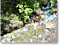2010-05-22_08-25-37