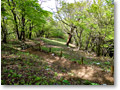 2010-05-22_08-55-11