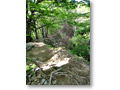 2010-05-22_09-02-27