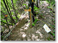 2010-05-22_09-06-25