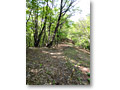 2010-05-22_09-09-35