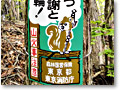 2010-05-22_10-24-38