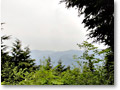 2010-05-22_10-31-52