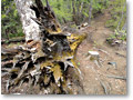 2010-05-22_11-20-07