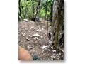 2010-05-22_11-46-04