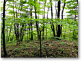 2010-05-22_11-54-19