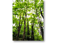 2010-05-22_11-57-09