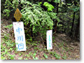 2010-05-22_12-02-39