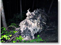 2010-05-22_02-59-47