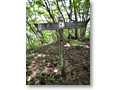 2010-05-22_12-29-35