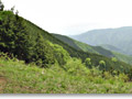 2010-05-22_12-36-46