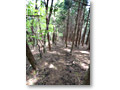 2010-05-22_12-55-06