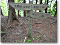 2010-05-22_13-21-47
