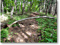 2010-05-22_14-56-53