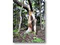 2010-05-22_15-42-43