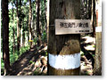 2010-05-09_10-27-55