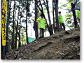 2010-05-09_11-13-23