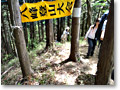 2010-05-09_11-16-02