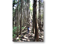 2010-05-09_11-21-58