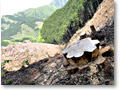 2010-05-09_11-27-03