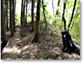 2010-05-09_11-53-49
