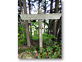 2010-05-09_09-07-43