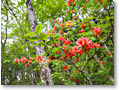 2010-05-09_15-45-03