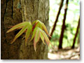 2010-05-09_09-54-21