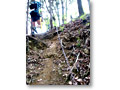 2010-05-09_10-05-01-2
