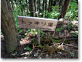 2010-05-09_10-20-12