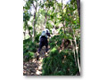 2010-03-22_09-59-22