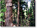 2010-03-22_10-07-44