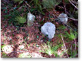 2010-03-22_10-07-47