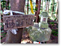 2010-03-22_11-53-26