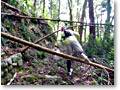 2010-03-22_12-26-52